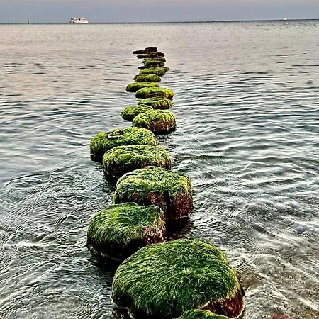 Strandhaus Graalibu *