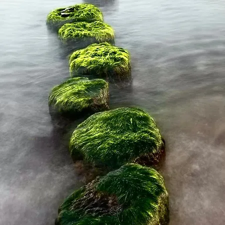 Strandhaus Graalibu Dom wakacyjny