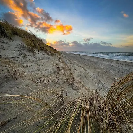 Dom wakacyjny Strandhaus Graalibu