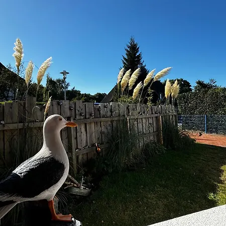 Strandhaus Graalibu Ferienhaus *